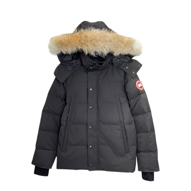 Canadian Goose