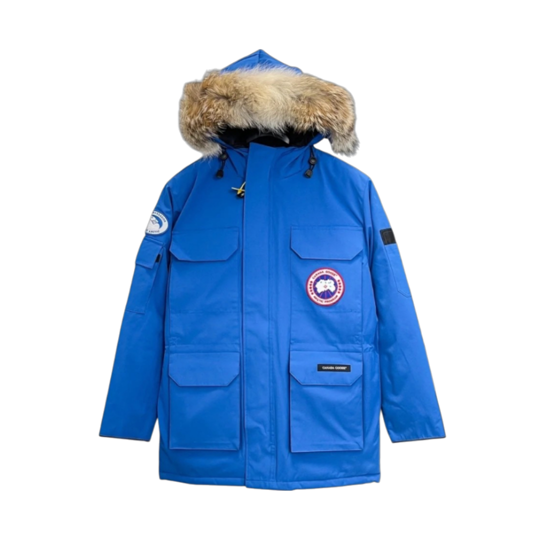 Canadian Goose